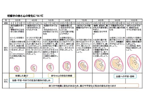 妊娠中 体位|医学的に見た「妊娠しやすい体位」とは？